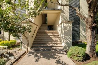 Modern 3-bedroom and peaceful getaway in San Miguel de Allende by VIATO - San Miguel de Allende - 5
