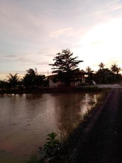 Arau Pulau Hilir Home - - 2
