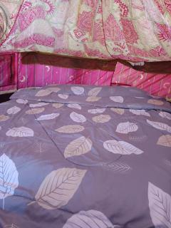 Napahong forest camp - 9