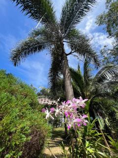 Janzo House - Ban Khlong Mat - 5