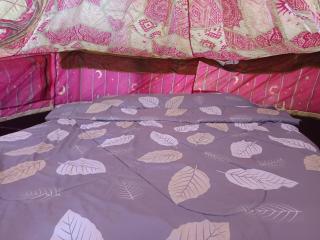 Napahong forest camp - - 6