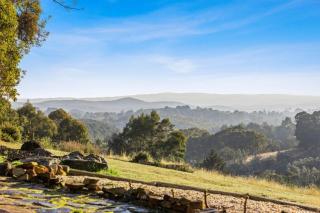 Honey Hill - 7