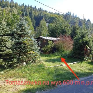 Folwark Noclegowy w Nowej Morawie - Nowa Morawa - 5