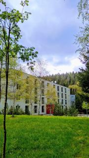 HARRADISE - Plně vybavený apartmán pod Mumlavským vodopádem, přímo na cestě na HŘEBENY, ideální na BĚŽKY a SKIALPY, ZAHRADA na zimní radovánky, kousek do CENTRA i SKIAREÁLU, vybavení i pro DĚTI, absolutní KLID - 0