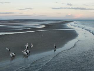 Shelly Beach Motel - Hervey Bay - 2
