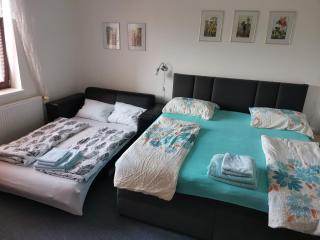 Apartmán Absolon - Blansko - 7
