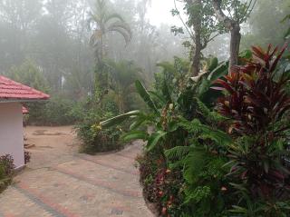 Dreams home estate stay coorg B - 7