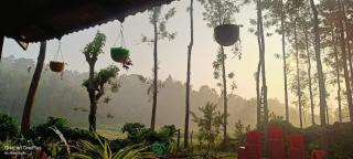 Dreams home estate stay coorg B - 5
