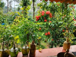 Dreams home estate stay coorg B - 1