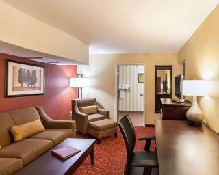 Comfort Suites Airport - Wichita - 4