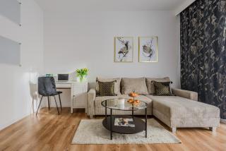 Lumina stylish apart with parking in City Center - 8