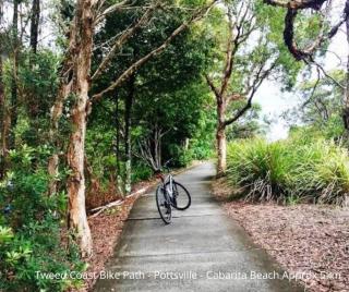 Casa Del Mar 6 - Walk to Pottsville Beach! - Pottsville - 5