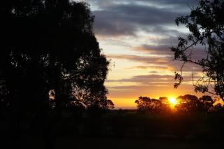 Grove at Peasant Farm by Tiny Away - Willunga - 2