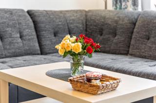 tierfreundliche Ferienwohnung - - 4