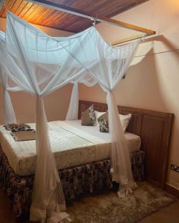 warujojo safari lodge - 2