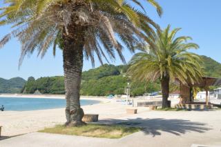 アグリート島時間 - 1