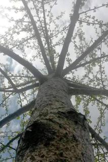 All Season Holiday Seashore Getaway! - 8