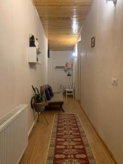 Eka's home with a beautiful garden - Tbilisi - 7