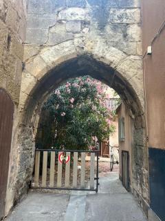 Studio Distillerie - Narbonne - 2