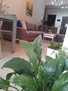 Bora Home Albania me vetshërbim 24 orë pranë Liqenit - 6