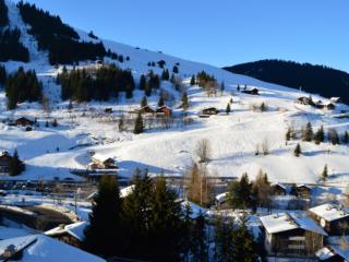 Chalet indépendant près des pistes, 3 chambres, WIFI, parking, belle exposition - FR-1-437-33 - La Clusaz - 2