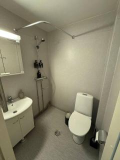 Polar Aurora Ease - 3