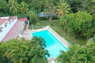Villa les orchidées et Villa alpinia - Petit-Bourg - 4