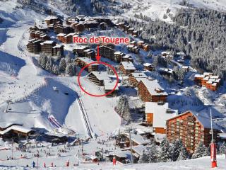 Studio rénové au pied des pistes, exposé sud avec balcon et Wi-Fi, proche commerces et ESF - FR-1-182-167 - Méribel - 2