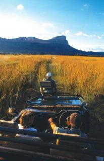 Honeyguide Conservation Lodge - Golders Green - 7