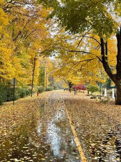 Bold Stump Cottage - 7