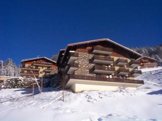 Studio cosy pour 4 personnes avec balcon, à 300m du télésiège de Barbossine à Châtel - FR-1-198-146 - 1