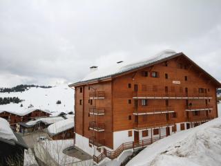 Les Saisies - Charmant 2 pièces cabine avec cheminée - 6 pers, plein sud, proche pistes - FR-1-293-20 - Hauteluce - 6