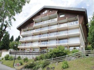 Studio lumineux avec balcon - 4 pers, BBQ électrique, parking couvert, animaux admis - FR-1-198-115 - Châtel - 9