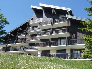 Confortable T2 avec balcon plein sud, animaux acceptés - FR-1-293-127 - Les Saisies - 8
