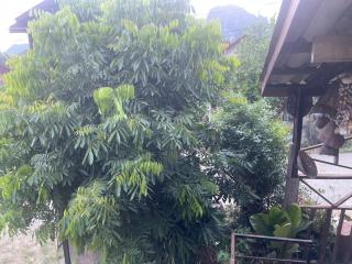 Outland Hostel Vang Vieng - Vang Vieng - 8