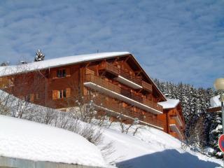 Appartement 2 pièces avec balcon, ski, TV, lave-vaisselle - Les Saisies - FR-1-293-235 - Les Saisies - 4