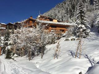 Charmant 2 Pièces dans Chalet Individuel à Méribel - Proche Pistes et Commerces - FR-1-182-179 - 6
