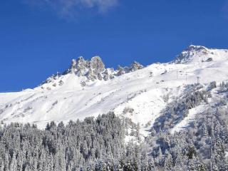 Studio Cabine Centre Merlin - Skis aux Pieds, Wi-Fi, Animaux Admis - FR-1-182-202 - Les Allues - 1