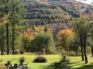 Majestic Mountain Retreat with Fire Pit Facing Mtn - 9
