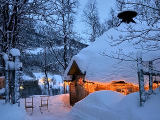 Koselig dyregård i Tromsø - Tromsø - 9