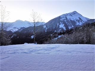 Chalet 3* · 8 pers · Grand confort · Terrasse · Parking privé - FR-1-267-266 - Villarembert - 9