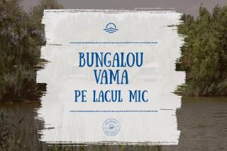 Zaga Zaga Sat - Tecuci - 8