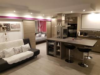 Gites Spa Strasbourg - Appartement - Furdenheim - 4