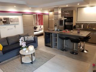 Gites Spa Strasbourg - Appartement - Furdenheim - 5