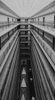 Ivy League House - Girls Hostel - 8