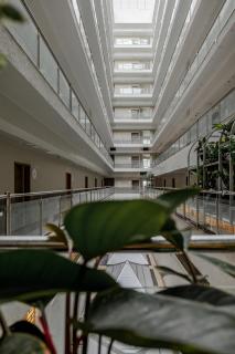 Ivy League House - Girls Hostel - 4