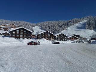 Les Saisies - Studio Cabine avec Garage pour 4-5 personnes, ensoleillé, vue sur pistes, non fumeur - FR-1-293-152 - Les Saisies - 1