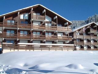 Studio cabine cosy aux Saisies, sud, 4 pers, skis aux pieds, proche ESF, tout équipé - FR-1-293-169 - Les Saisies - 1