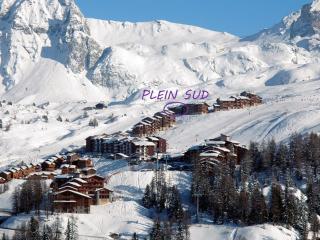 Duplex cosy 5-6 pers au pied des pistes avec TV, DVD et cuisine équipée - FR-1-455-52 - 2