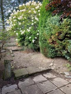 Croft of Feithhill - 9